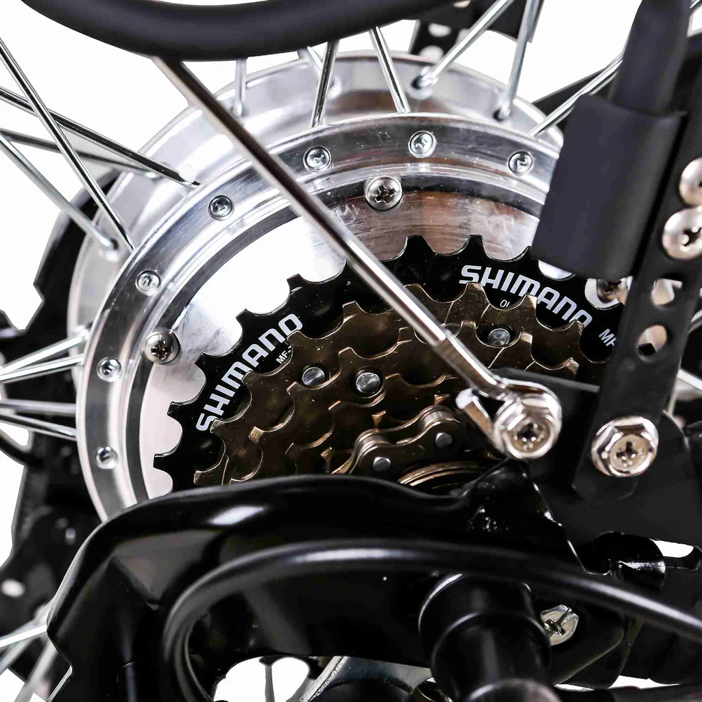 The 250W rear hub motor